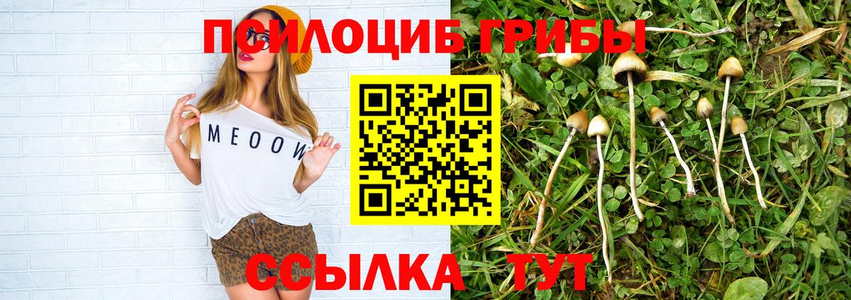 Псилоцибиновые грибы ЛСД Бугульма
